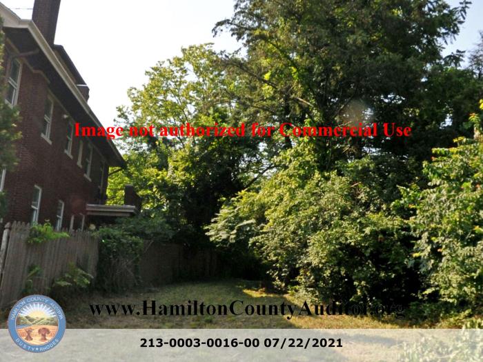 Photo 07/22/2021